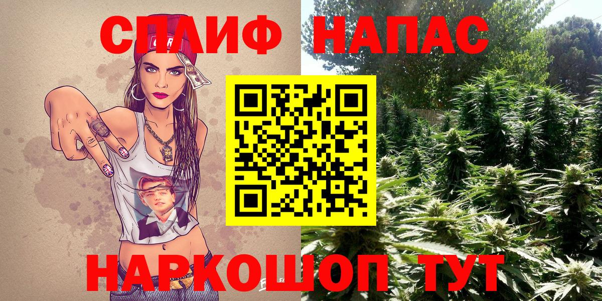 Бошки марихуана план Гулькевичи